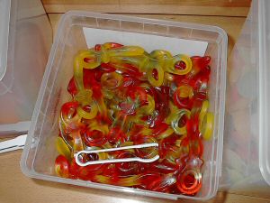 bild11.jpg