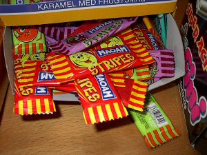 bild14.jpg